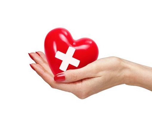 Mengenal Palang Merah Indonesia