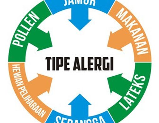 Kenali Jenis dan Pemicu Alergi pada Si Kecil