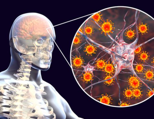 Imunitas Terhadap Meningitis C Habis Saat Permulaan Remaja