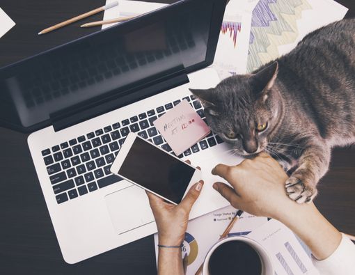 Benarkah Bekerja dari Rumah Lebih Baik Dibanding di Kantor?