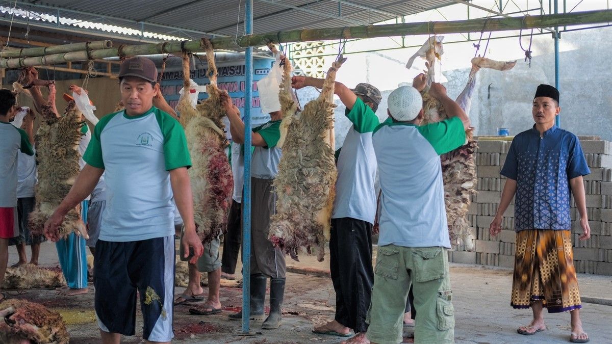 Mau Terima Daging Kurban Saat Iduladha, Amankah dari Virus Corona?