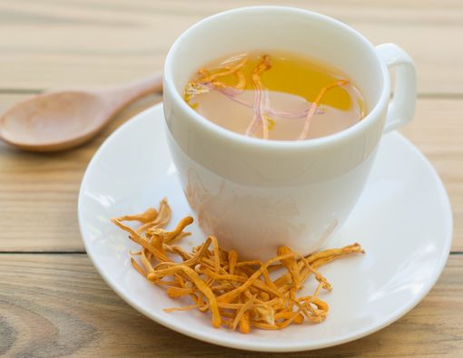 Amankah Konsumsi Rutin Cordyceps militaris saat Pandemi?