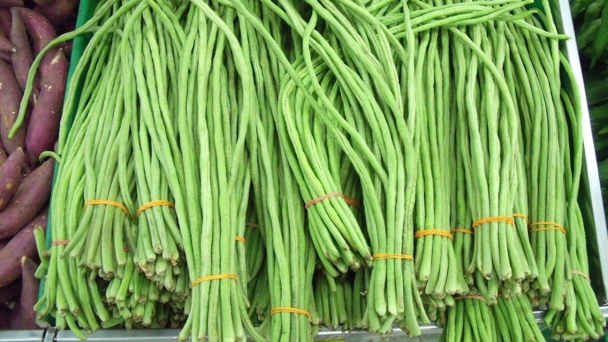 Mengenal Manfaat Kacang Panjang untuk Kesuburan