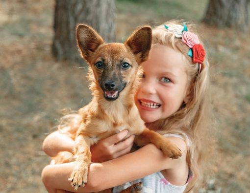 Anak Menggigit Binatang Sampai Mati, Gejala Gangguan Mental Apa?
