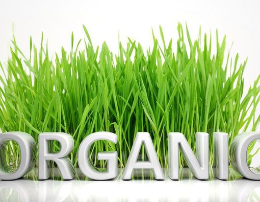 Apakah Makanan Organik Itu?
