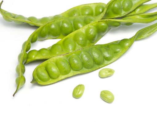 Petai Bikin Sakit Kepala, Mitos atau Fakta?