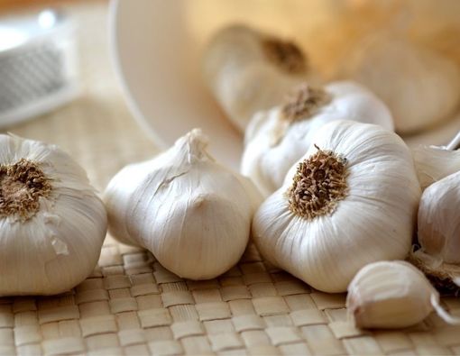 Deretan Obat Herbal TBC yang Mudah Diperoleh