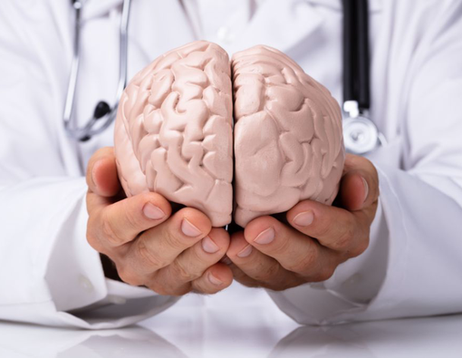 Mengenal Fungsi dan Bagian-Bagian Otak Besar 