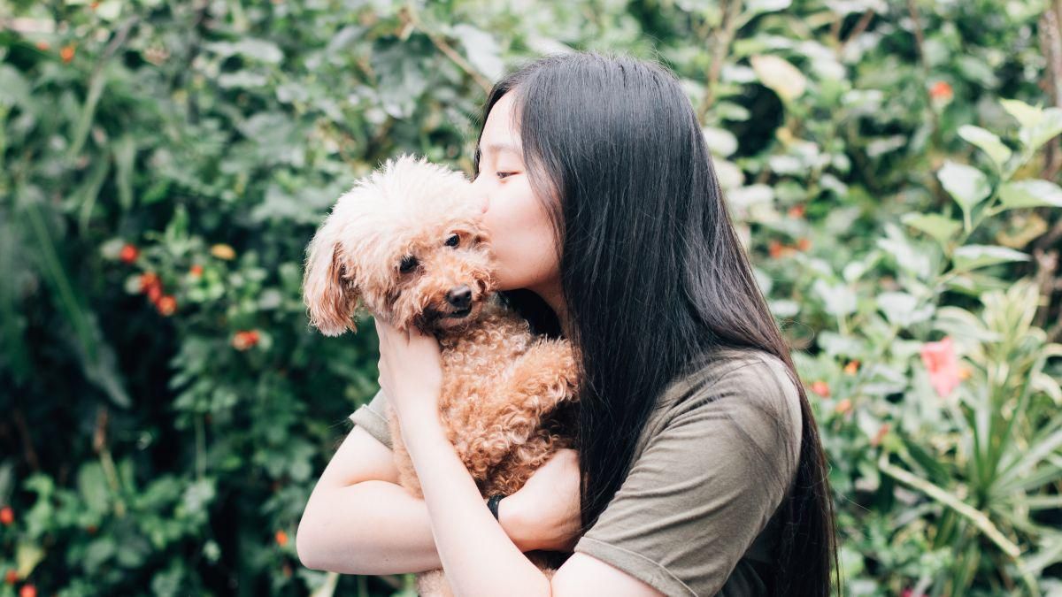 9 Cara Merawat Anjing agar Tetap Sehat dan Ceria