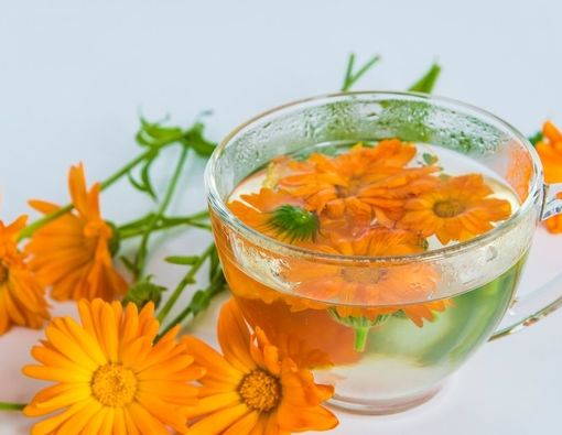 Manfaat Calendula untuk kesehatan kulit Anda