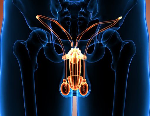 Kenali Dampak Masturbasi pada Kesehatan Fisik dan Mental Pria