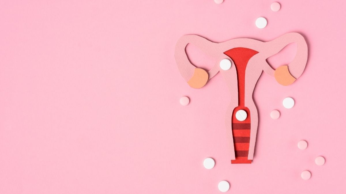 Fungsi Organ Reproduksi Wanita yang Mungkin Belum Anda Tahu