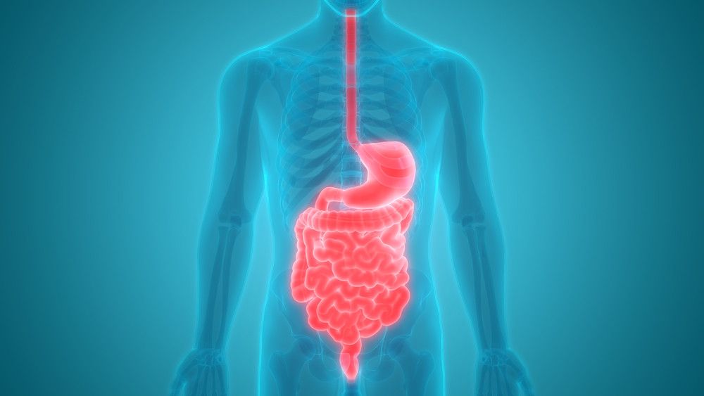 Jaga Kesehatan Pencernaan Anda dengan 5 Cara Mudah Ini (Magic-mine/Shutterstock)