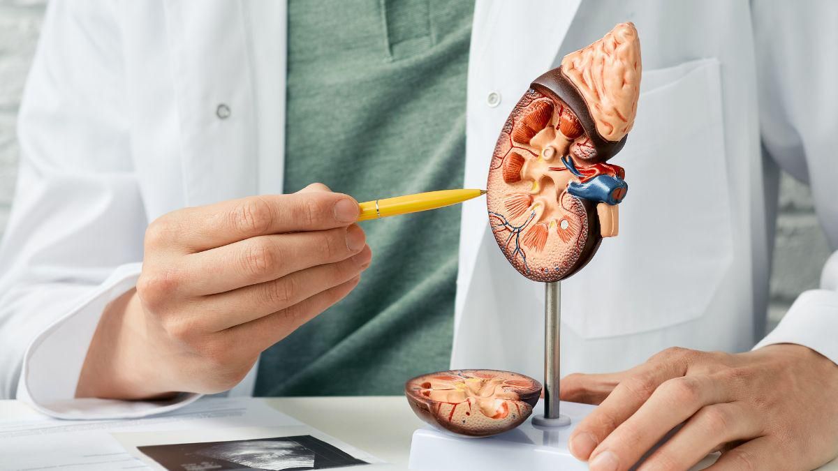 Gejala Ginjal Bengkak