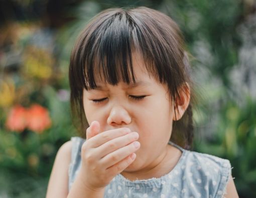 Si Kecil Alergi Debu, Harus Bagaimana?