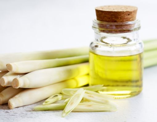 Minyak Serai, Bahan Alami untuk Lindungi Bayi dari Nyamuk