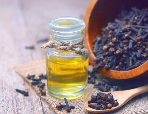 12 Manfaat Minyak Cengkeh bagi Kesehatan Tubuh