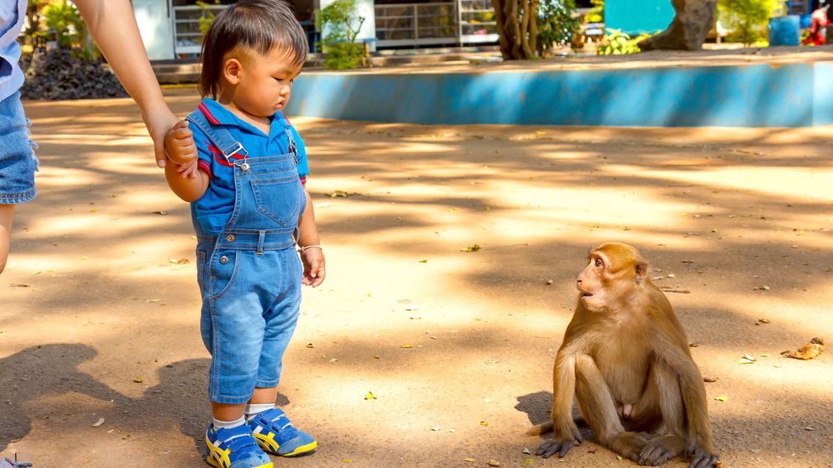 Tips agar si Kecil Terhindar dari Cacar Monyet
