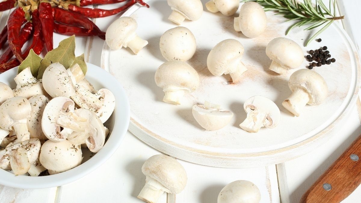 Efek Samping Jamur Champignon untuk Kesehatan