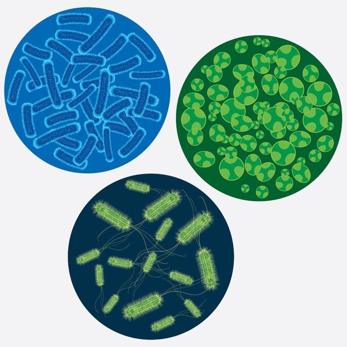 Mengenal Bakteri Superbugs dari Nadia Vega