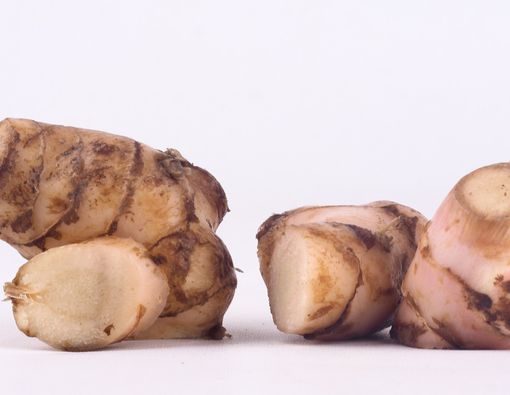 Manfaat Lengkuas untuk Mengatasi Penyakit