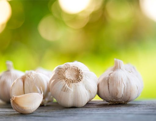 Segudang Manfaat Bawang Putih bagi Kesehatan Hati
