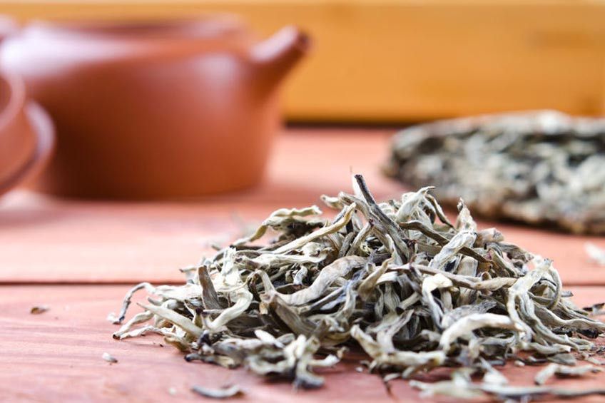 Ingin Tubuh Sehat dan Awet Muda? Coba Teh Putih!