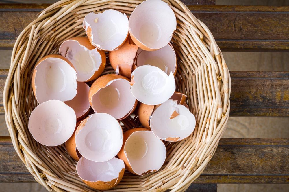 5 Manfaat Kulit Telur dan Cara Mengolahnya, Jangan Dibuang!
