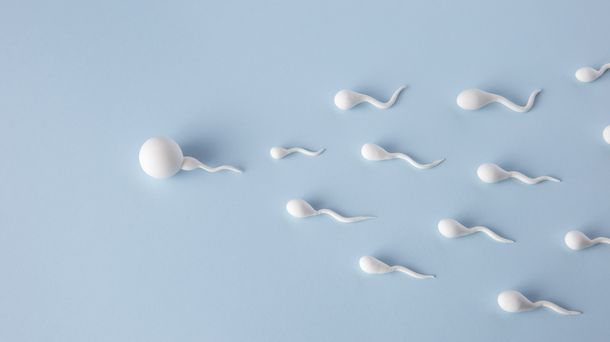 Apakah Benar Kelainan Bentuk Penis Bisa Menyebabkan Sulit Punya Anak?