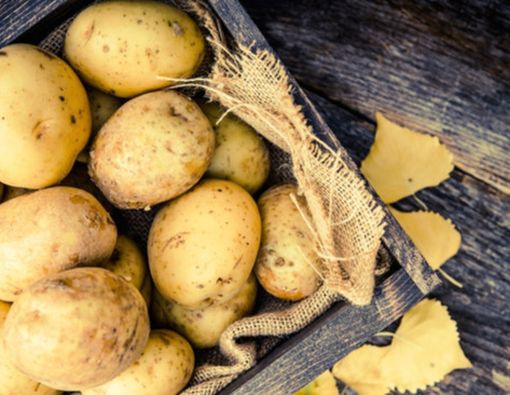 Makanan-makanan yang Berisiko Bila Dikonsumsi Saat Masih Mentah!