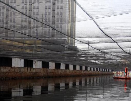 Kondisi Kali Item dan Ancaman Kesehatan yang Mengintai