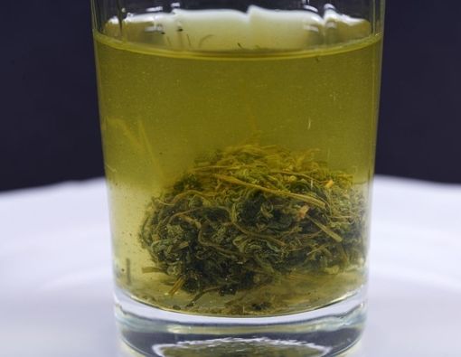 Potensi Manfaat Teh Jiaogulan untuk Penderita Diabetes