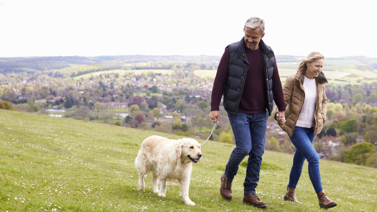 6 Manfaat bagi Tubuh Jika Anda Rutin Berjalan Kaki Setiap Hari
