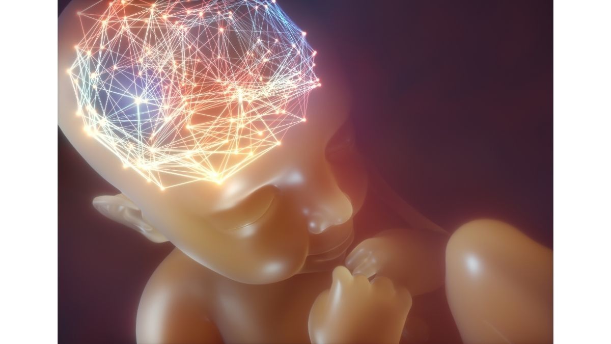 Kenali Anensefali, Saat Bayi Lahir Tanpa Otak yang Lengkap
