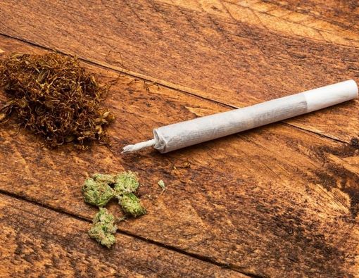 Perbedaan Ganja dan Tembakau Gorila