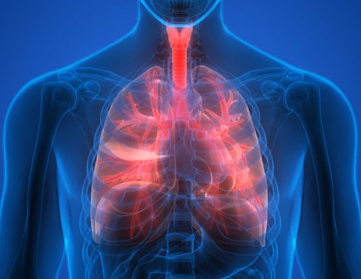 Ingin Paru-paru Bersih, Bagaimana Caranya?