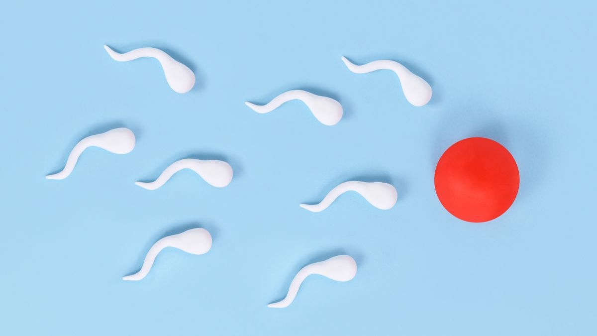 7 Ciri Sperma yang Sehat untuk Mempercepat Kehamilan