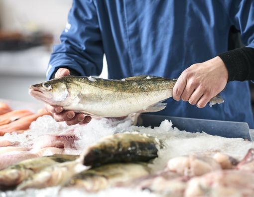 6 Jenis Ikan yang Sehat untuk Dikonsumsi dan Rekomendasi Mengolahnya