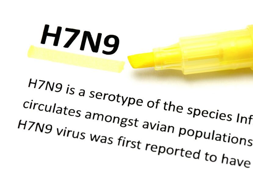 Waspadai Penyebaran Virus H7N9, Penyebab Flu Burung di Tiongkok