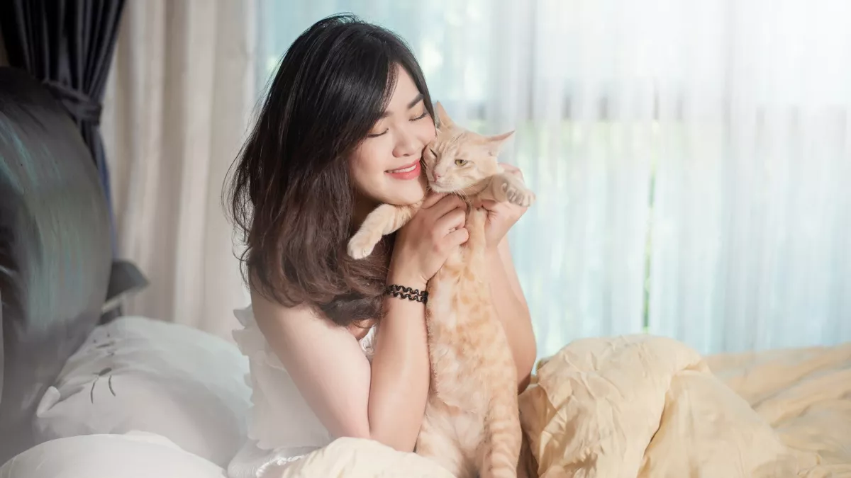 Miaw Miaw Miaw Miaw, Bobby Kertanegara dan Jenis Kucing yang Dianggap Lucu untuk Dipelihara