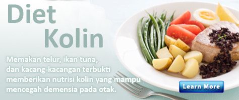 Diet Kolin Memperlambat Penuaan Otak