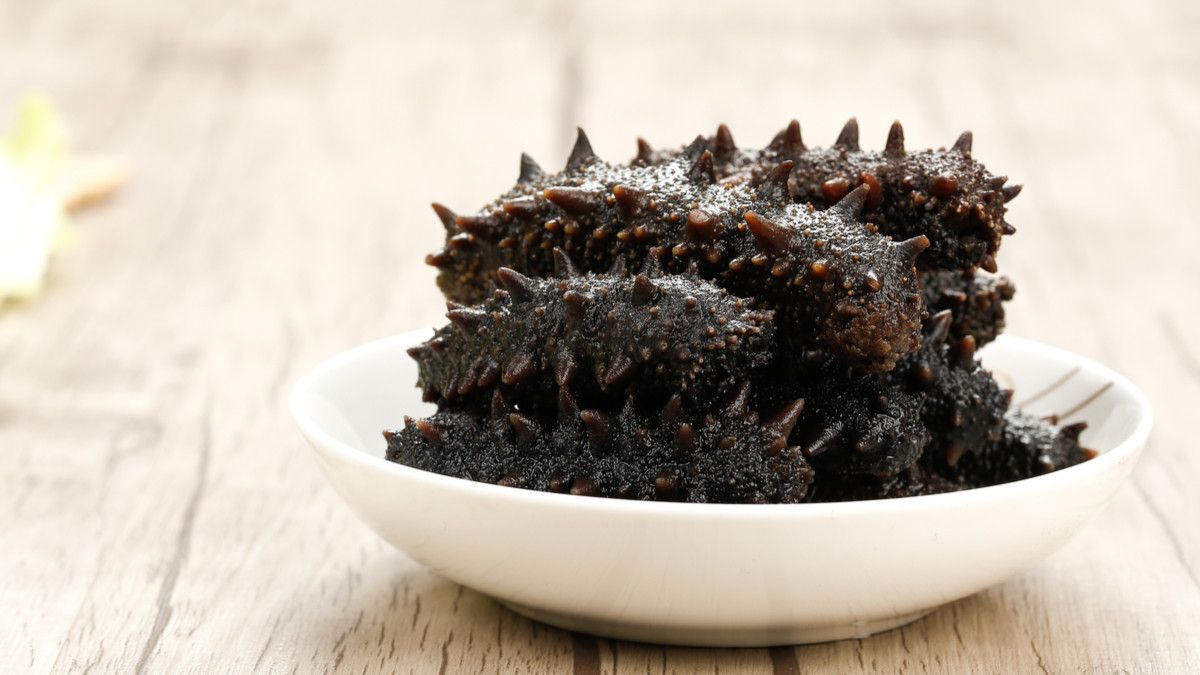 Mengenal Berbagai Manfaat Teripang untuk Kecantikan Kulit Anda