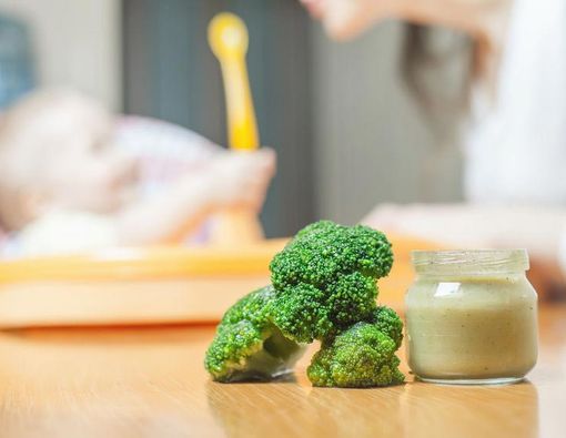 Panduan Membuat Makanan Bayi Sendiri