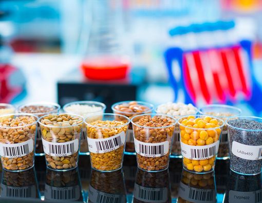 Benarkah Makanan Organik Kurangi Risiko Alergi?