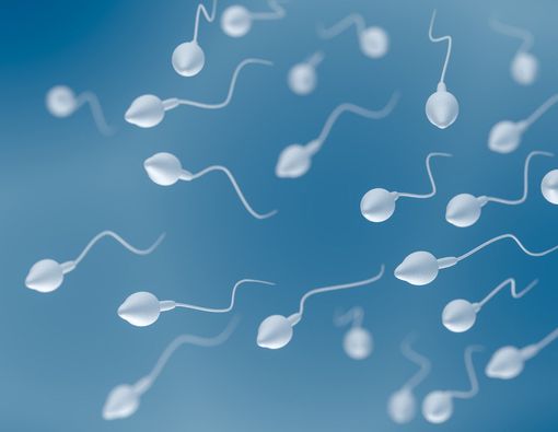 Pria dengan Jumlah Sperma Sedikit Rentan Kena Penyakit?