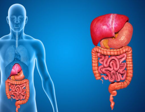 Kiat agar Pencernaan Tetap Nyaman Selama Puasa