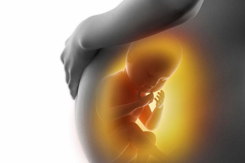 Ternyata Bayi Sudah Belajar Sejak dalam Kandungan