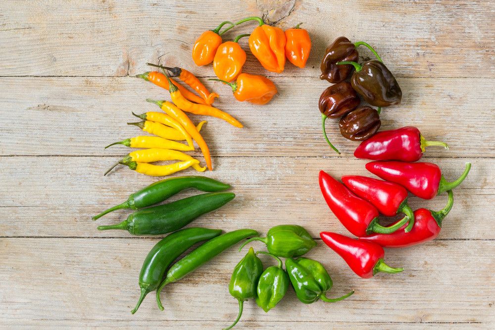 Makan Cabai Super Pedas, Berbahayakah bagi Kesehatan? (Little Hand Creations/Shutterstock)