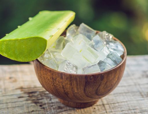 Manfaat Daging Lidah Buaya untuk Kesehatan Anak