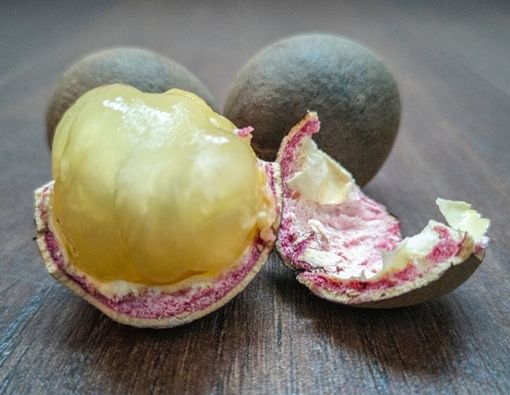 Manfaat Buah Matoa untuk Kecantikan Kulit